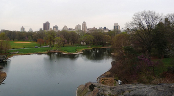Central Park à Manhattan, le poumon vert - mes Souvenirs de Voyage
