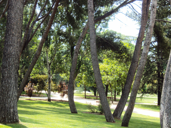 Le parc du Retiro, un grand espace à Madrid 