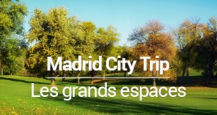 les grands espaces à Madrid - MSDV