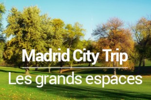 les grands espaces à Madrid - MSDV