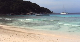 3 decouvertes en Thailande - MSDV