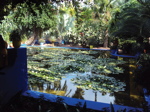 Calme du jardin Majorelle Maroc