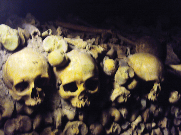 Ossements Catacombes de Paris