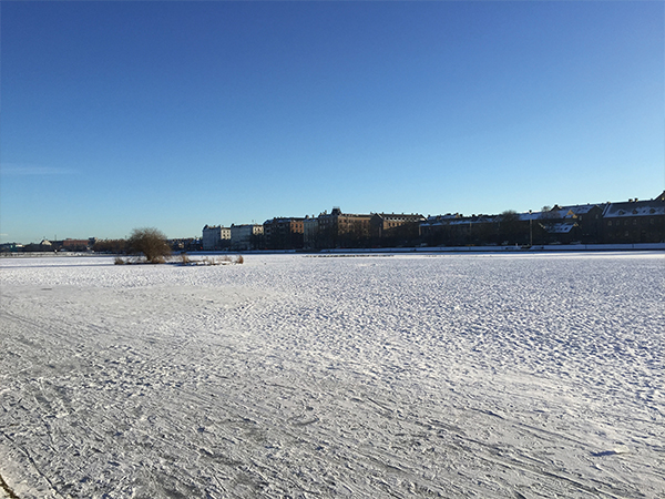 Lac gele à Copenhague MSDV