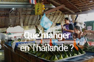 Que manger en Thailande Blog voyage