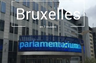 Bruxelles en 3 musees