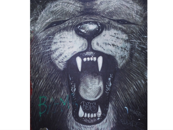 Street Art Berlin Europe Lion