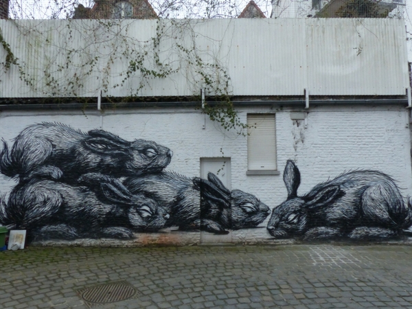 Street Art Gant Europe Roa Lapins