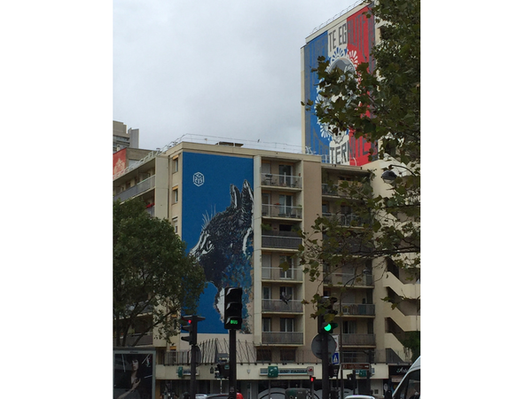 chat-street-art-paris week-end à Paris