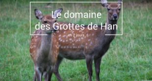 grottes-de-han