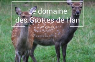 grottes-de-han