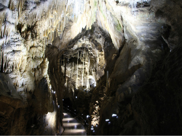 grottes-de-han-interieur