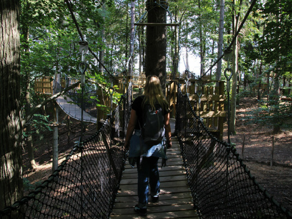 parcours-dans-les-arbres-grottes-de-han