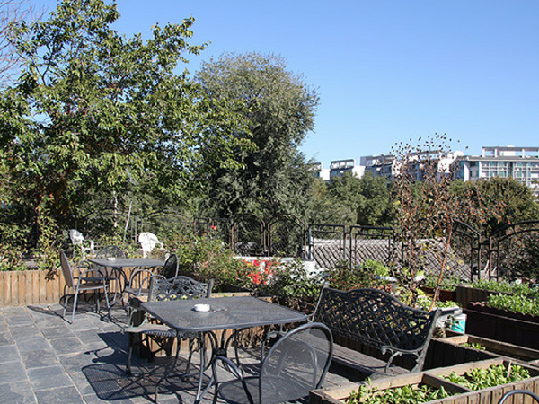 beijing-saga-international-youth-hostel-terrasse