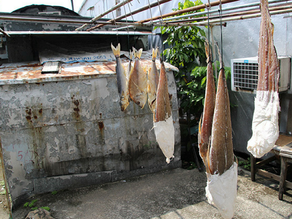 poisson-seche-tai-o-lantau