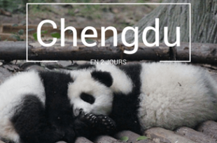 Chengdu Chine Pandas