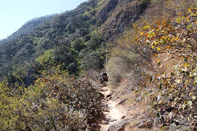 chemin Trek des Gorges du Saut du Tigre Yunnan Chine