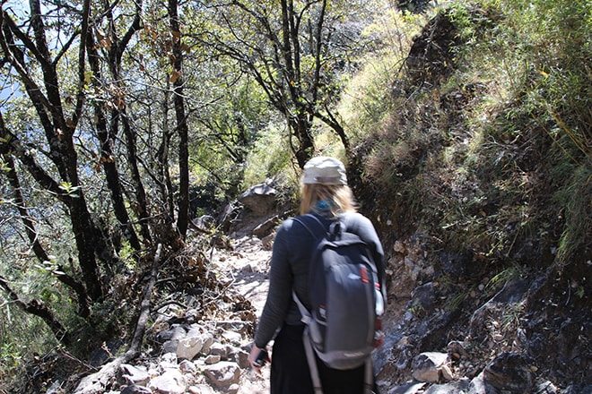 dans la foret Trek des Gorges du Saut du Tigre Yunnan Chine