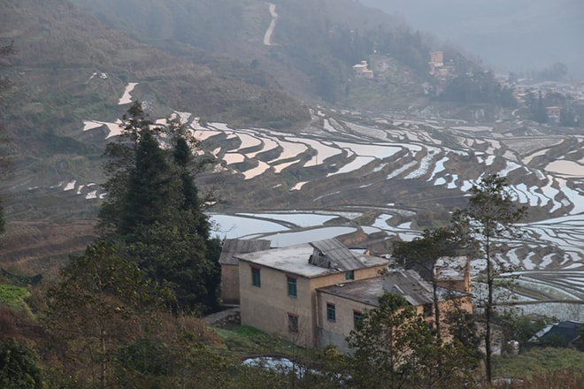 Riziere en terrasse depuis la place Yuanyang Chine