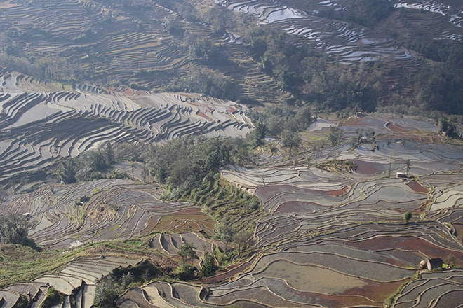 paysage multicolore Yuanyang Chine