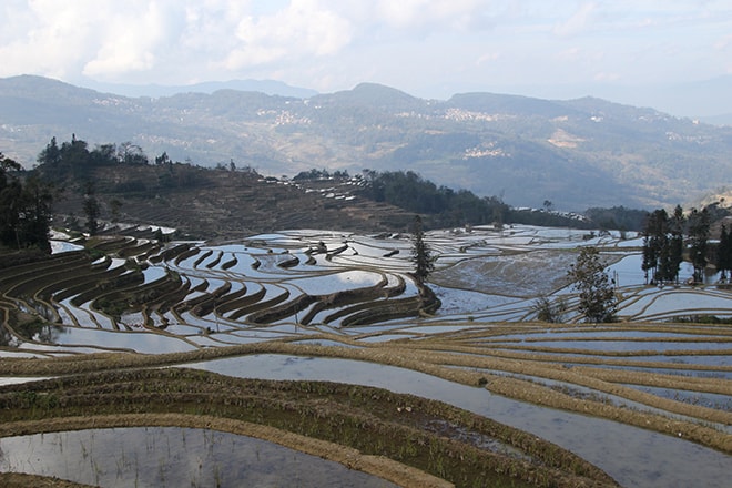 reflet dans les rizieres en terrasse Yuanyang Chine