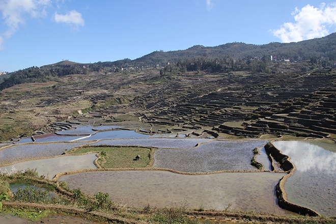 rizieres Yuanyang Chine