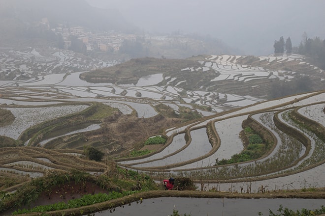 rizieres en terrasse Chine