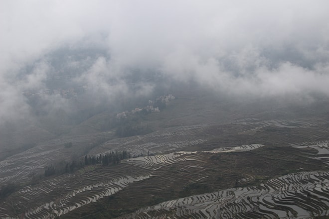 rizieres et brouillard Yuanyang Chine