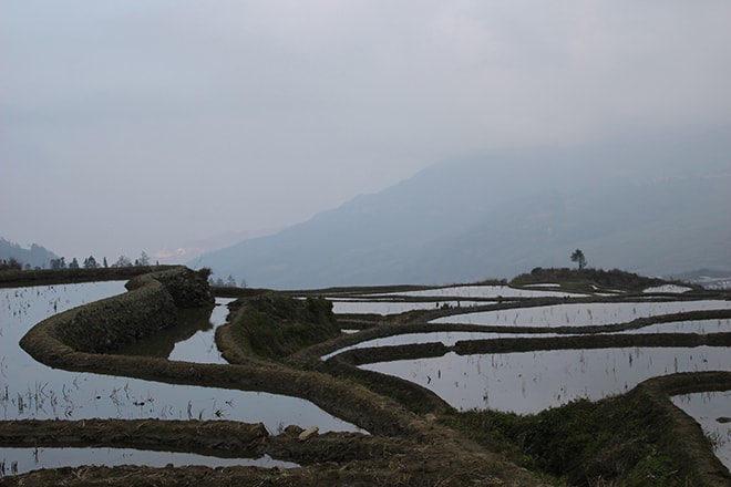 vue depuis la place sur les rizieres Yuanyang Chine