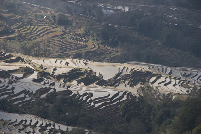 vue du haut rizieres en terrasse Yuanyang Chine