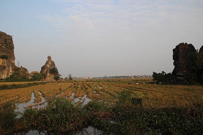 Coucher de soleil sur les rizières Tam Coc Vietnam