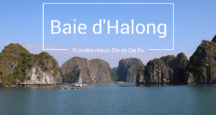 Croisière sur la baie d'Halong depuis Cat Ba