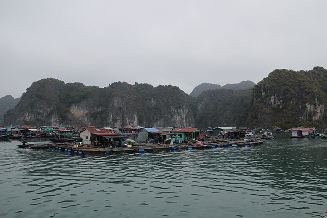 Village flottant Cat Ba Baie d'Halong Vietnam