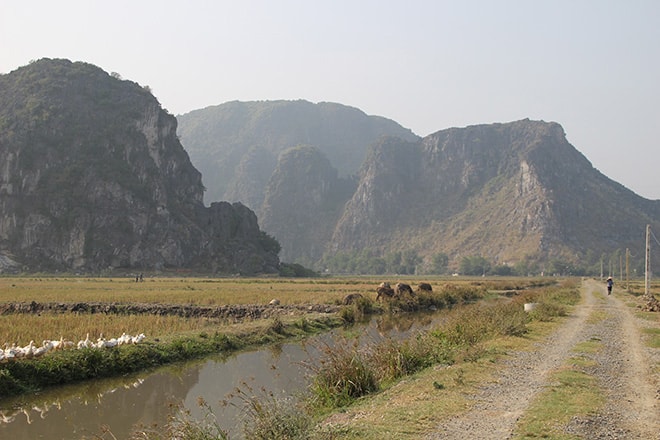 rizières et pics karstiques Tam Coc Vietnam