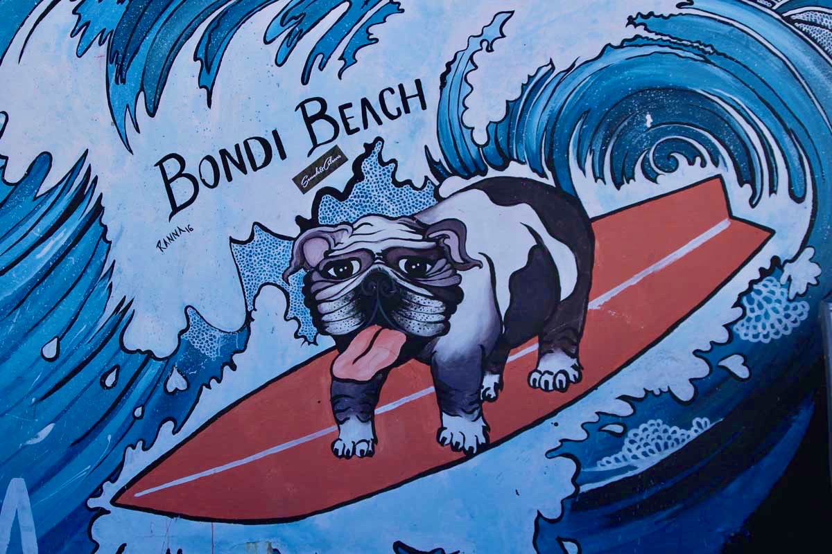 Street Art chien surf Bondi Beach Sydney