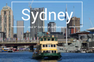 Sydney sa baie et ses bateaux