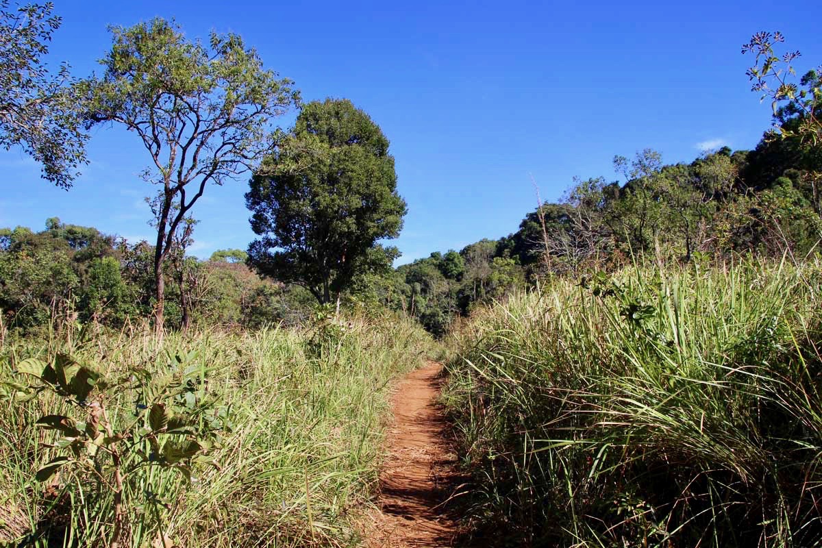 chemin colline Sen Monorom Mondulkiri