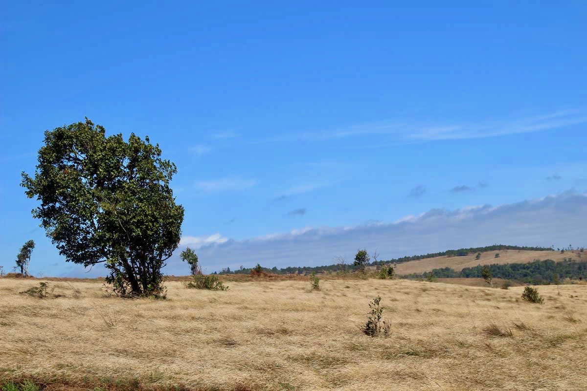 paysage Sen Monorom Mondulkiri