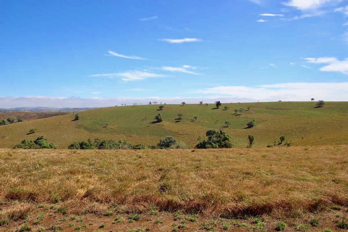 prairie Sen Monorom Mondulkiri