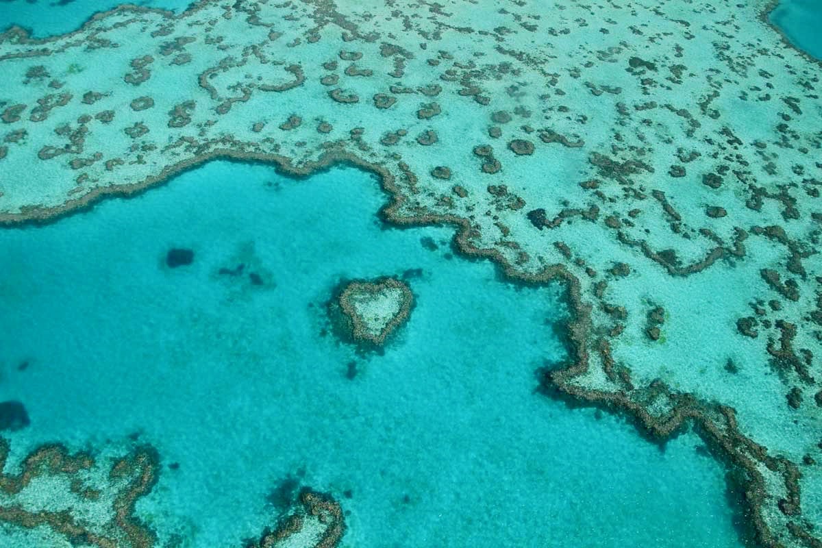 Heart Island grande barriere de corail