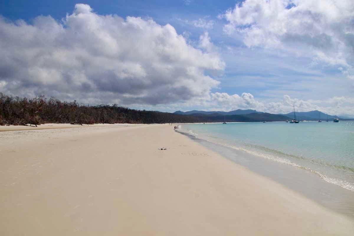 plage white haven beach