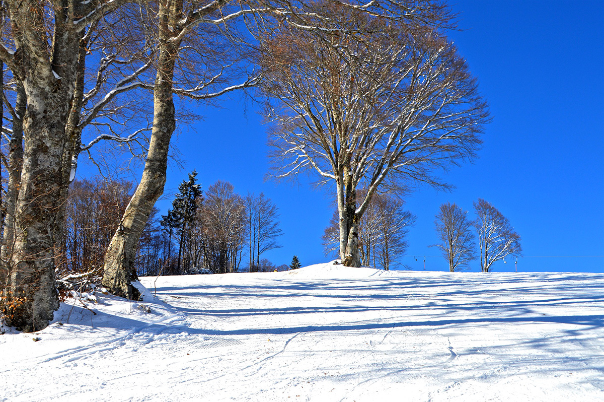 Descente ski