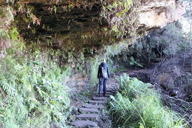 Chemin vers les cascades Blackheath