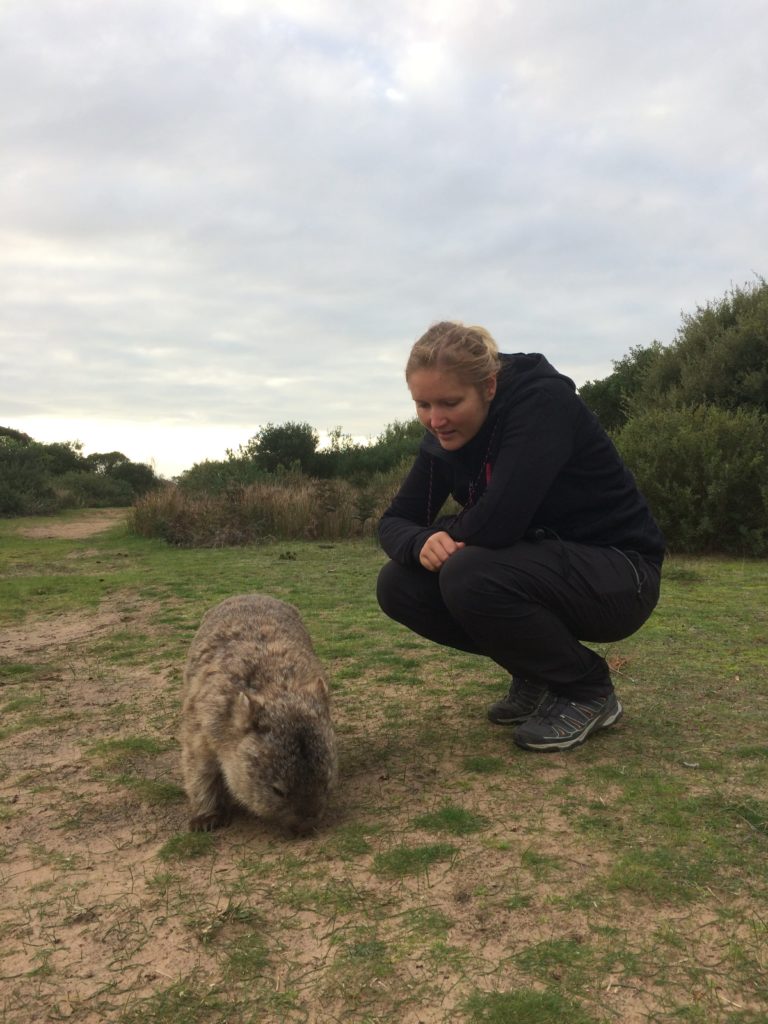 Elo Wombat Wilsons Promontory