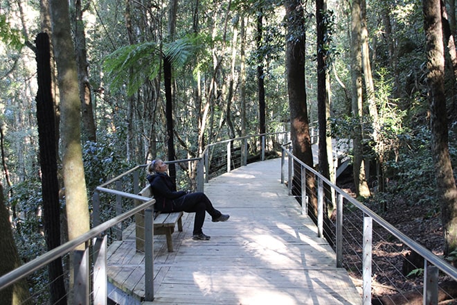 Elo boardwalk Blue Mountains