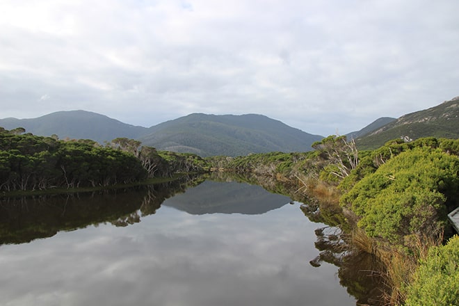 Vue Wilsons Promontory