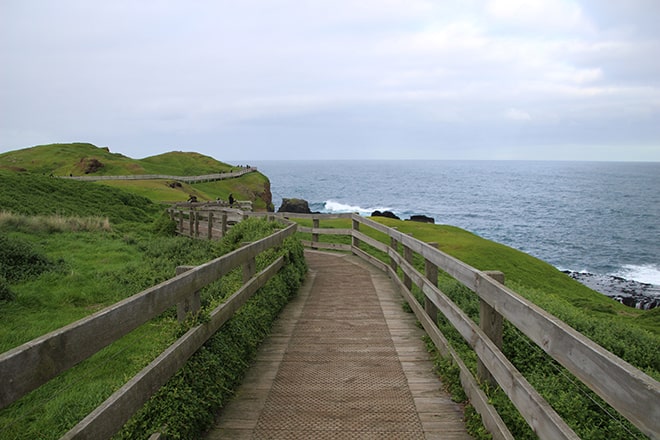 Plateforme seal rocks Phillip Island