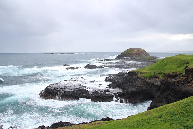 ocean seal rocks Phillip Island