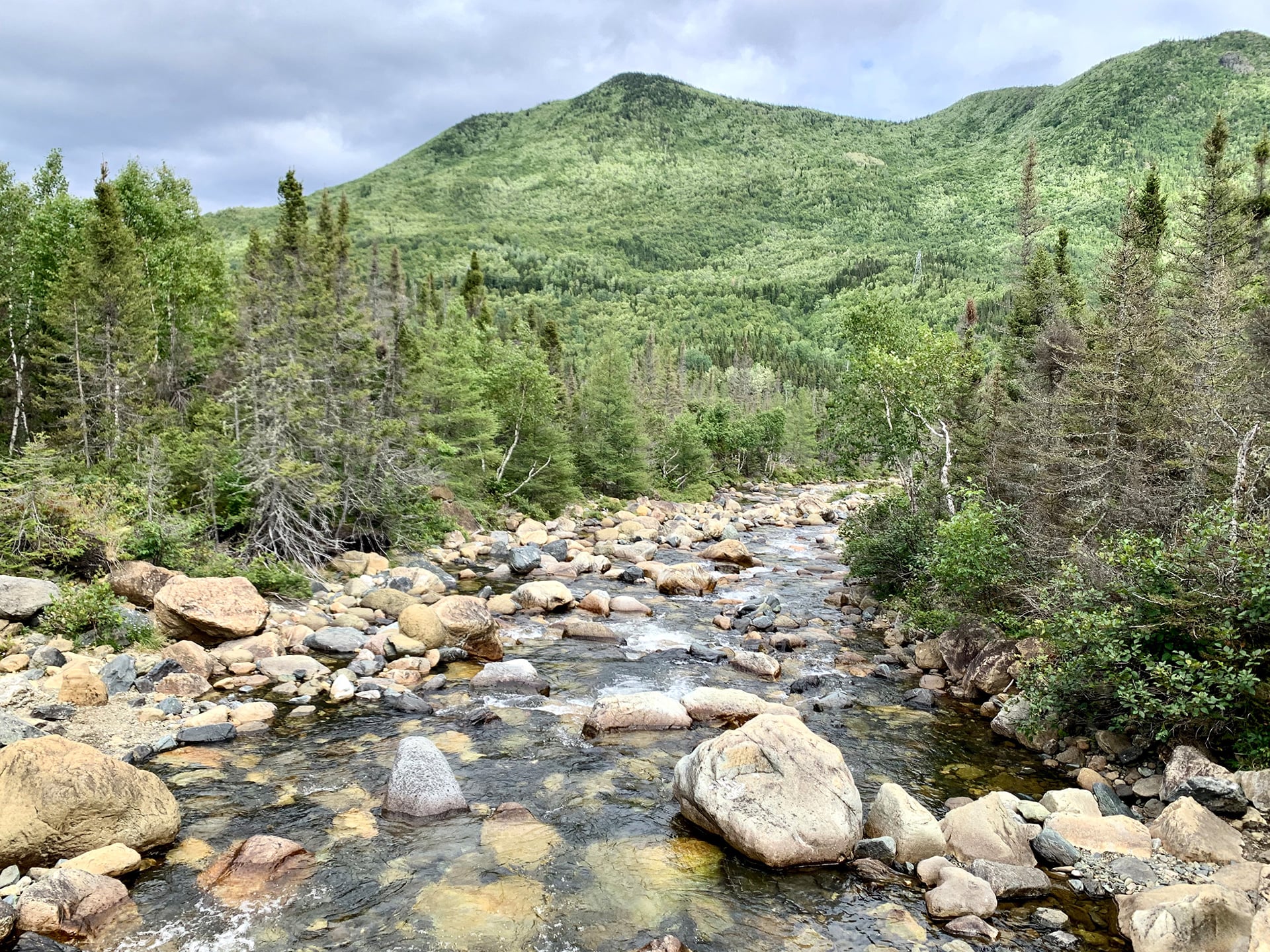 Mont Xalibu - parc national de la gaspésie