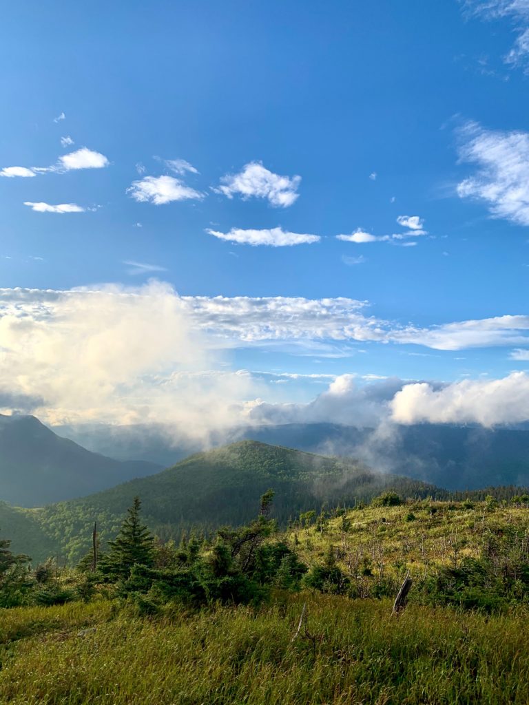 Parc de la Gaspésie